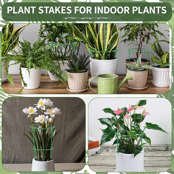 36 Pack Plant Support Stakes Sets - Versatile Plant Cages, Stackable Garden Flower Support， Small Plant Stakes for Indoor Plants,Tomato,Monstera, Peony, Hydrangea, Climbing Plants Rootora