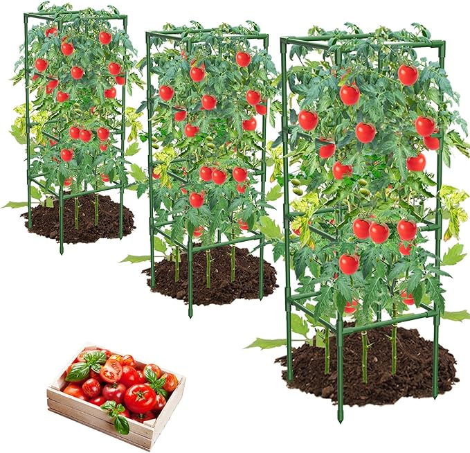 3 Pack Tomato Cages,Square Tomato Plant Stakes Support Cages Trellis for Garden Climbing Vegetables Flowers Fruits,Extra Bold MQHUAYU