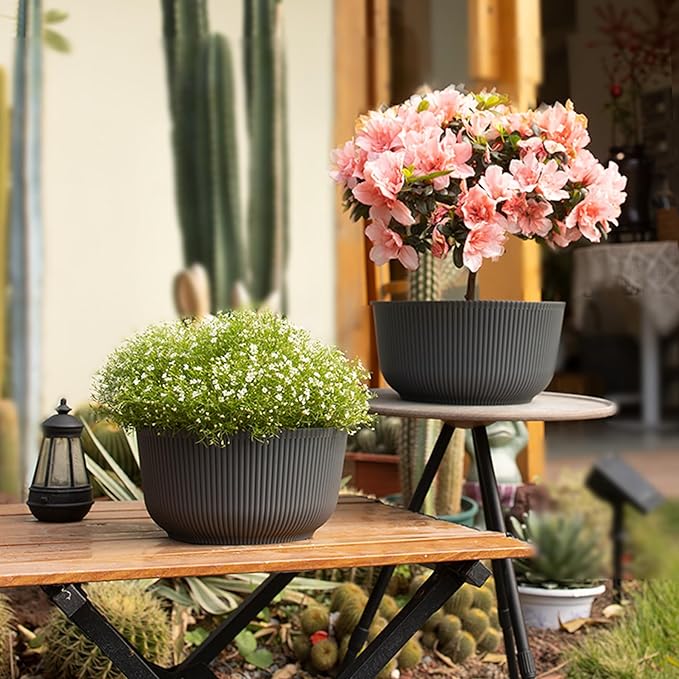 T4U 8 Inch Plant Pots, 2 Pack Self Watering Planter with Drainage Hole, Shallow Plant Pot Indoor, Home Decor Flower Pots for Plants, Cactus, Garden, Gray T4U