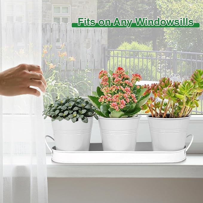 Herb Garden Planter Indoor Kit – 6 Metal Pots with 2 Trays for Windowsill & Kitchen Counter – Modern Decorative Indoor Planters for Herbs, Succulents & Small Plants, White Wacloud