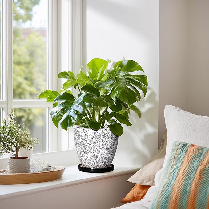 Ceramic Plant Pots - 6 Inch Planters for Indoor Outdoor Plants, Round Plant Pot with Drainage Hole and Saucer, Ceramic Succulent Pots, Desk House Decor, Gardening Gifts for Women, White-Black EPFamily