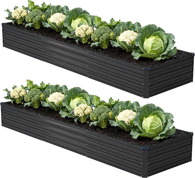 12x2x1ft(2 Pack) Galvanized Raised Garden Bed,Outdoor Planter Box Metal Patio Kit Planting Bed for Vegetables Flowers Herb,Black Foxlang
