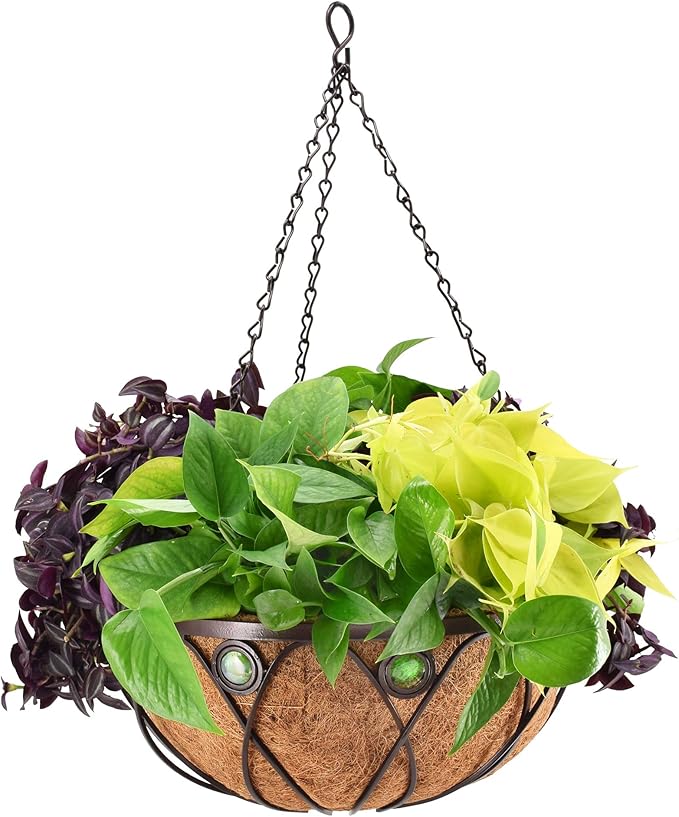 Arcadia CB02 Emerald Series Round Hanging Basket Planters, 16-Inch Rootora