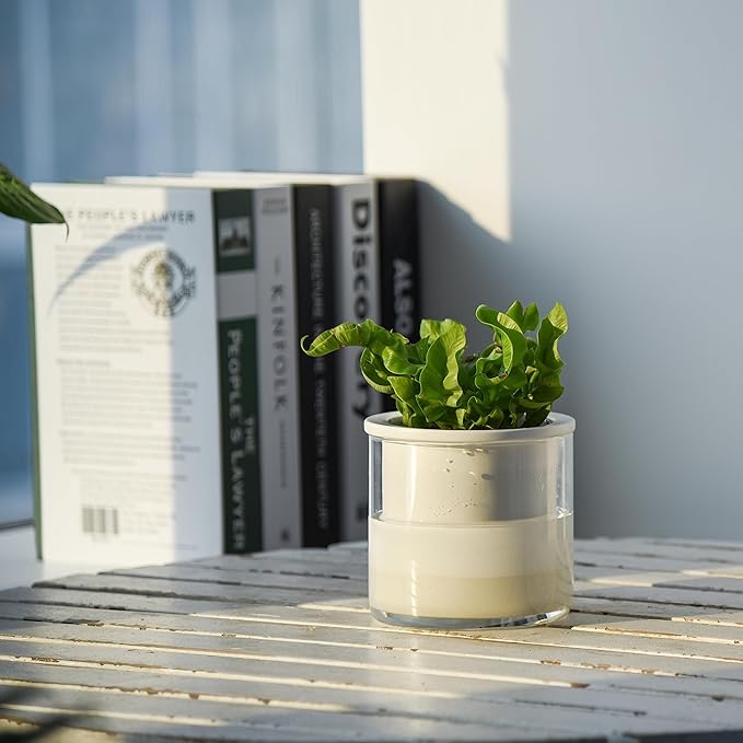 Phoenix Vine 4 Inch Self Watering Planter Pot, Design White Terracotta Pots for Plants, Indoor Cylinder Terra Cotta Pots with Glass Vase, Set of 2, 51-B-E-2 Phoenix+Vine