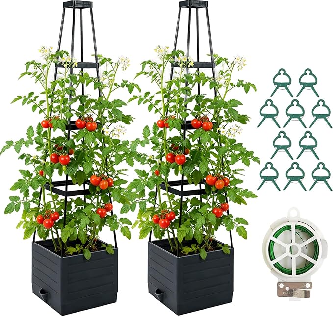 2 Pack Raised Garden Bed Planter Box with Trellis, 57'' Self Watering Tomato Planters for Climbing Plants, Tomato Cage Trellis for Vegetables & Vine Flowers Indoor Outdoor Patio Monirsen