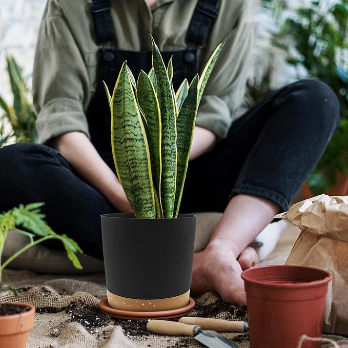 QCQHDU 6.5 inch Plant Pot, 2 Pack Planters for Indoor Plants with Drainage Holes & Saucer, Outdoor Flower Pots Home Garden Modern Decor QCQHDU