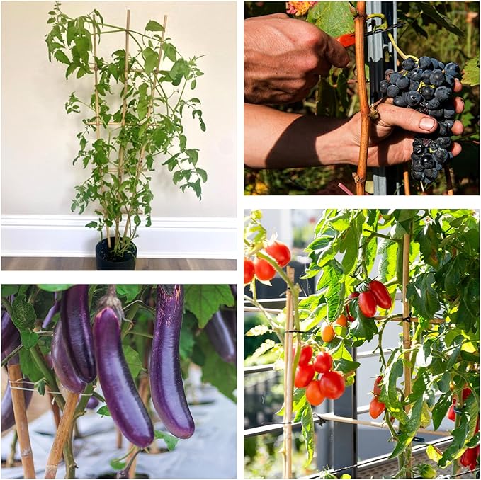 Plant Stakes 4FT, Natural Bamboo Stakes, HAINANSTRY 25Pcs Sturdy Bamboos Garden Stake, Bamboo Sticks for Plants, Beans, Indoor and Outdoor Climbing Plants, Tomato Vegetable Stakes for Garden HAINANSTRY
