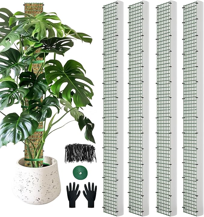 60" Metal Moss Pole, D Shape Sphagnum Moss Pole, Moss Poles for Climbing Plants, Monstera, Indoor Climbing Plants (4Pcs 60") HOLANHING