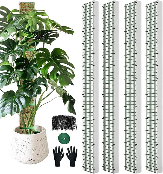60" Metal Moss Pole, D Shape Sphagnum Moss Pole, Moss Poles for Climbing Plants, Monstera, Indoor Climbing Plants (4Pcs 60") HOLANHING