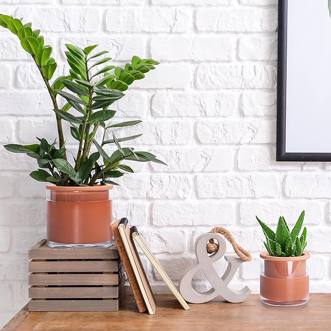 Phoenix Vine 4 Inch 6 Inch Self Watering Plants Pots, Design Terracotta Pots for Plants, Indoor Cylinder Terra Cotta Planter with Glass Vase Set, 51-A-G-46 Phoenix+Vine