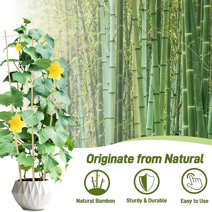Avalution 10 Pack Bamboo Trellis for Climbing Plants, 4 FT Garden Ladder Trellis for Potted Plants Indoor, Fan-Shaped Small Plant Support Trellis for Houseplants Ivy Hoya Vine Monstera Avalution