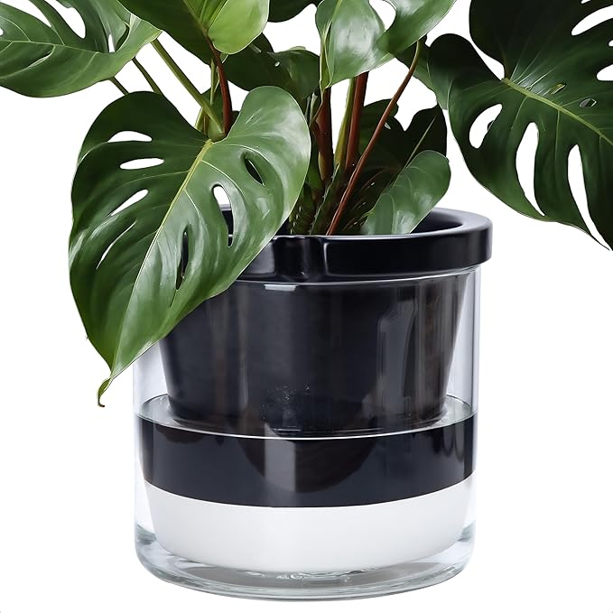 D'vine Dev 10 Inch Design Self Watering Planter for Indoor Plants, Black Terracotta Pot with Cylinder Glass Cup, 37-X-D-3 DvineDevPlanterPotsandStand