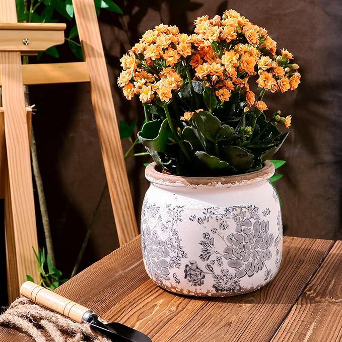 Flower Pot,Vintage Gray Ceramic Pot for Planter with Drainage Holes, 6.29 inch Ice Crack Glazed Small Rustic Planters Pot for Indoor,Tucan Home Decor,Gardening Gifts Dosayes