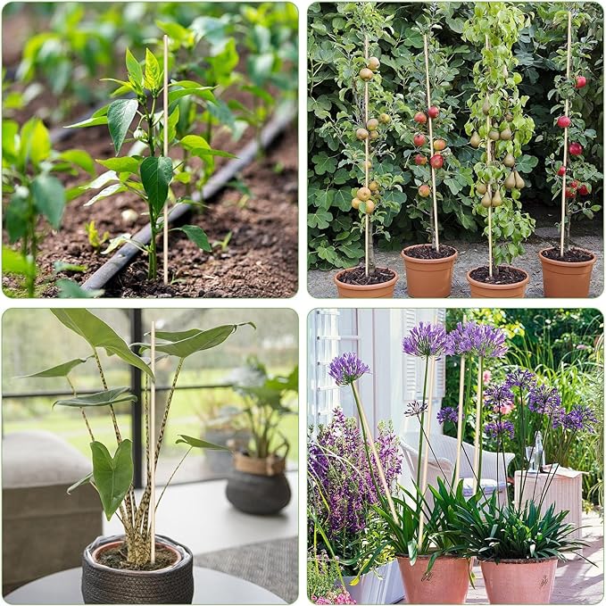 120 PCS Bamboo Plant Stakes 18 Inch, Wood Plant Support for Gardening for Potted Floral Plant, Indoor Wooden Sign Posting Garden Stick, Crafts Sticks with 120 PCS Wires(4") CJFocus
