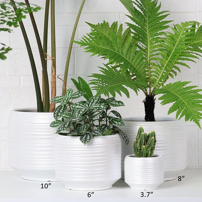 10 Inch Ceramic Plant Pot with Drainage – Large Flower Pot for Indoor Outdoor Plants, Modern Decorative Planter for Patio, Balcony, Garden, or Home Decor Bestseler