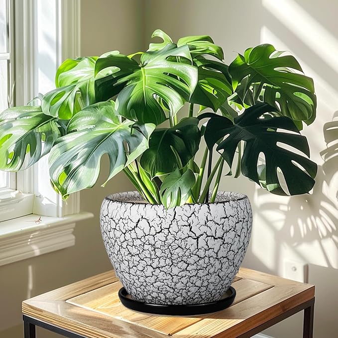 Ceramic Planters for Indoor Plants - 10 Inch Plant Pot with Drainage Hole and Saucer, Large Flower Pot for Home Decor, White/Black Ceramicfor