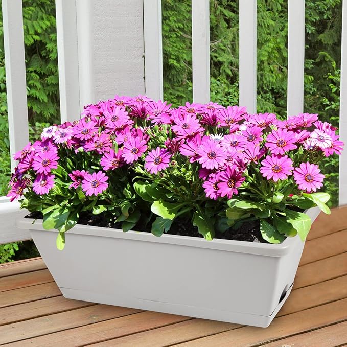 8pcs Window Box Planter, 17 Inches Flower Window Boxes, Rectangle Planters Box with Drainage Holes and Trays, Plastic Vegetable Planters for Windowsill Patio Garden Home Decor Porch Yard (Grey) Hananojia