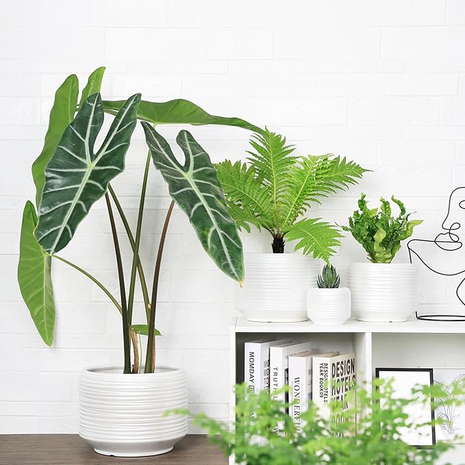 10 Inch Ceramic Plant Pot with Drainage – Large Flower Pot for Indoor Outdoor Plants, Modern Decorative Planter for Patio, Balcony, Garden, or Home Decor Bestseler