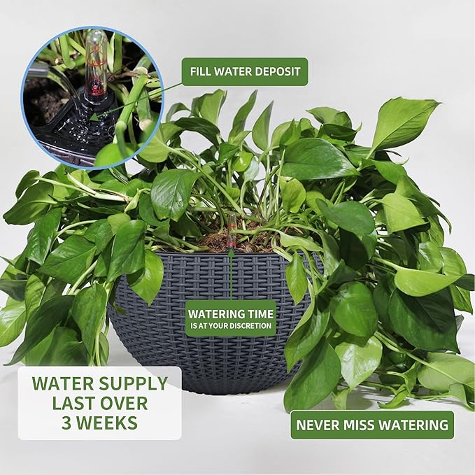 Dexceder 10.5 Inch Large Self Watering Hanging Planters Indoor Outdoor, Thickened Hanging Basket Flower Plant Pot with Water Level Indicator (Gray) Dexceder
