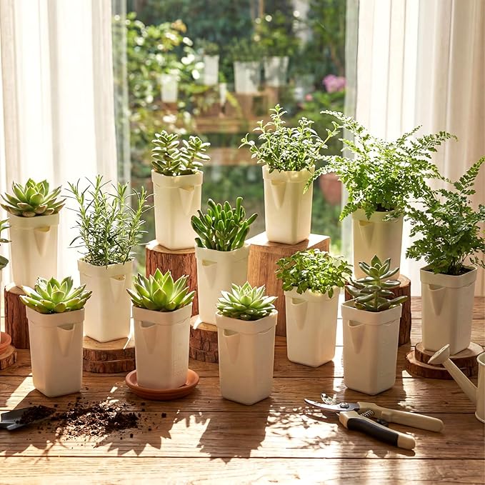LemonRoad 20 Pack 2" Small Self Watering Pots for Indoor Plants with 20 Plant Label Mini White Plastic Planters with Water Level and Drainage Holes for Propagation, Succulents, and African Violet Rootora