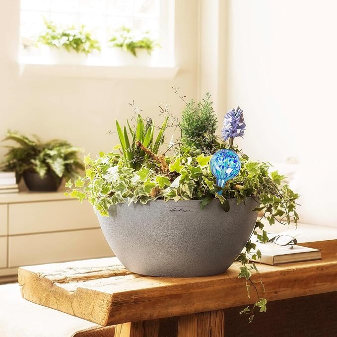 Plant Watering Globes Set of 4 - Large Self Watering Globes for Indoor & Outdoor Plants - Multicolored, Automatic, Glass Watering Bulbs for Daily Use, Plant Watering Devices MissionGallery