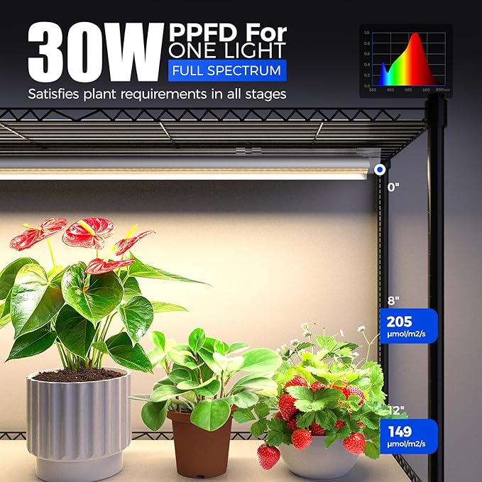 Barrina CX6 Plant Stand with Grow Lights, 3FT T8 30W(Per Light) Full Spectrum Yellow LED Plant Lights, Indoor Plant Shelf for Multiple Plants with On/Off Timer Socket, 6-Tier 35.4"x13.8"x70.9" Barrina