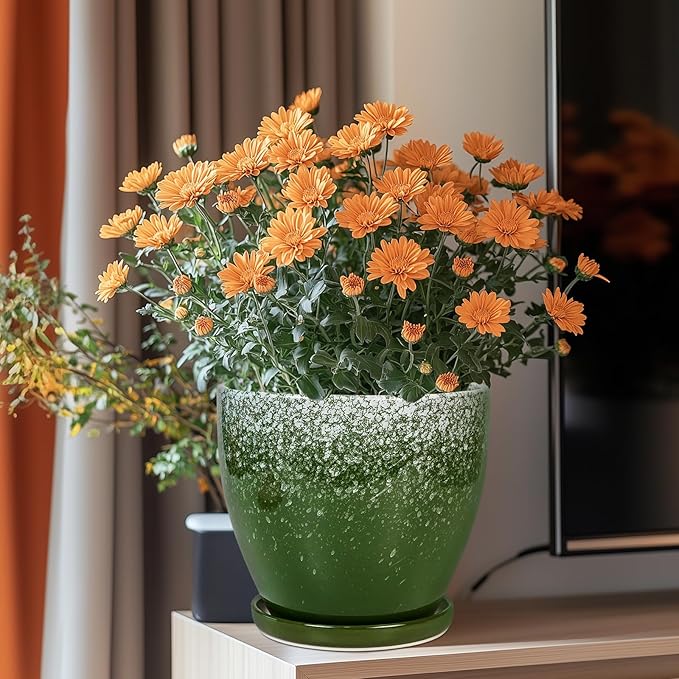 Ceramic Pots for Plants - 8 Inch Planter for Indoor Outdoor Plants, Round Planter, Large Flower Pot with Drainage and Saucer, Home Room Garden Office Decor, Birthday Gifts, Green EPFamily