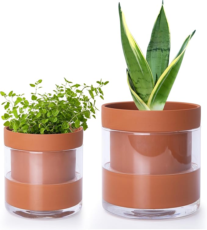 Phoenix Vine 4 Inch 6 Inch Self Watering Planter Pots, Terracotta Clay Pots with Glass Reservoir for Indoor Plants, Herbs, Flowers, 52-A-G-46 Phoenix+Vine