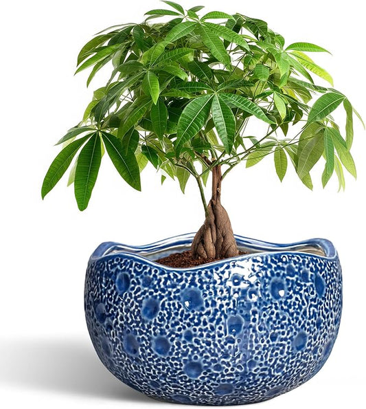 10 Inch Plant Pot - Ceramic Pots for Plants Indoor Outdoor, Round Bonsai Pots with Drainage Hole, Decorative Flower Pot, Modern Unique Planters, House Decor, Housewarming Gifts, Blue Thirtypot
