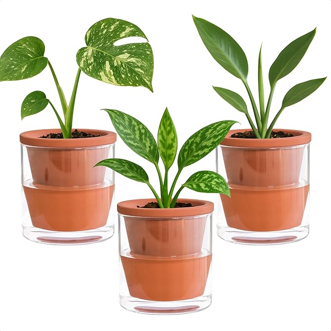 D'vine Dev 4 Inch Design Self Watering Pot for Indoor Plants, Terracotta Planter with Cylinder Glass Cup, Set of 3, 37-Z-A-1-T DvineDevPlanterPotsandStand
