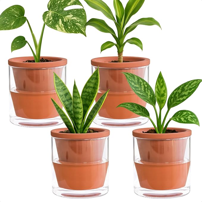 D'vine Dev 4 Inch Design Self Watering Pot for Indoor Plants, Terracotta Planter with Cylinder Glass Cup, Set of 4, 37-Z-A-1-F DvineDevPlanterPotsandStand
