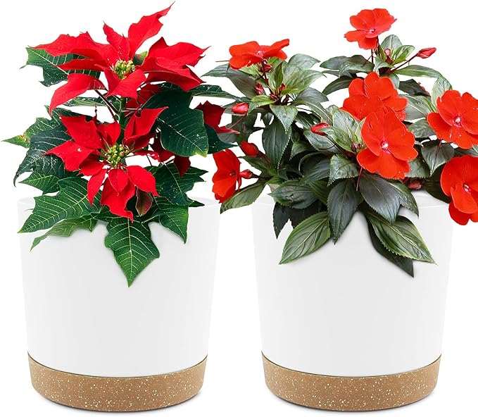QCQHDU 6.5 inch Plant Pot, 2 Pack Planters for Indoor Plants with Drainage Holes & Saucer, Outdoor Flower Pots Home Garden Modern Decor QCQHDU