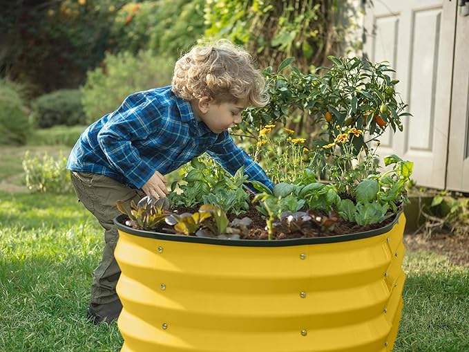 Plant & Plot Galvanized Raised Garden Beds Outdoor // 4×2×1 ft (2-Pack) Planter Raised Beds for Gardening, Vegetables, Flowers (Yellow) // Large Metal Garden Box PlantPlot