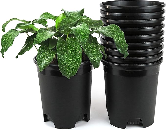 1 Gallon Nursery Pot Plastic Planters for Outdoor Indoor Plants Gardening Flower Pots 10-Pack 6 Inch Plant Pots with Drainage Holes CottaPlanters