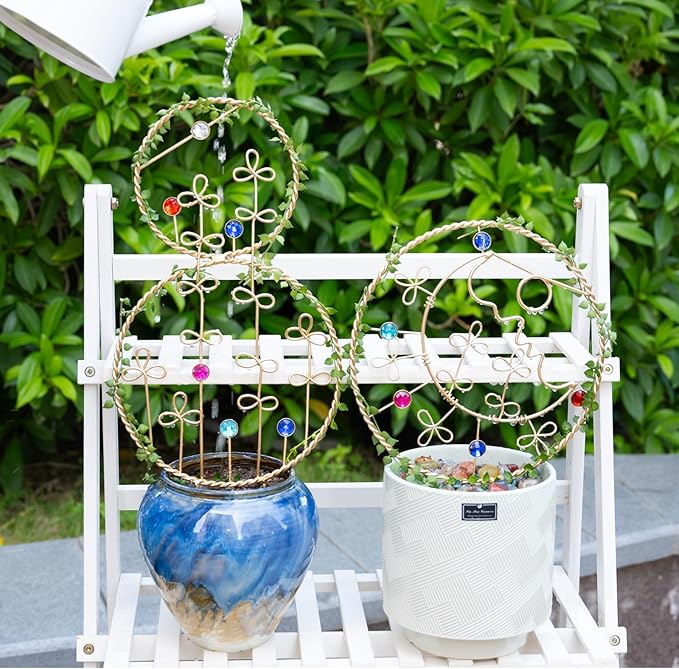 2PCS Hoya Trellis Plant Support Indoor Metal Frame Unique Trellis for Climbing Plants Potted Hoya Pots Small Houseplant Vine Support for Plant Lovers Home Decor Goooxim