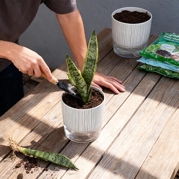 3 Pack Self Watering Pots Set, 4 Inch Self Watering Pots for Indoor Plants, Planter Pot with Wick Rope and Reservoir for African Violet, Spider Plant, Orchid Rootora