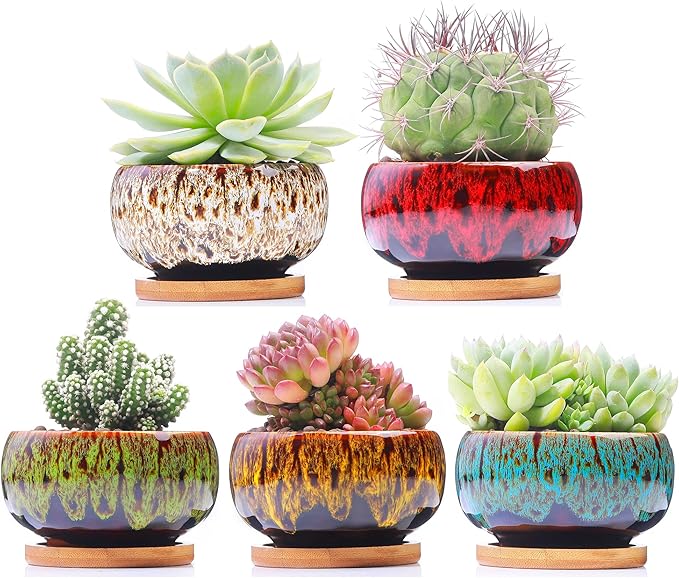 Cute Ceramic Succulent Garden Pots, Planter with Drainage and Attached Saucer, Set of 5 -Plants Not Included (Round) LamDawn