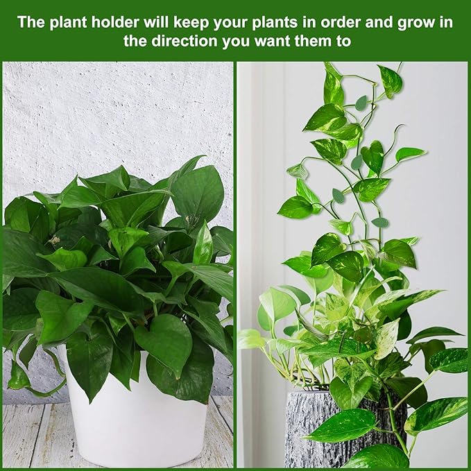 Geiserailie 60 Pieces Plant Climbing Wall Fixture Clips with 72 Pieces Acrylic Adhesive Sticker Leaf Fixer Invisible Wall Vines Fixing Clips Hook Plant Vine Traction for Indoor Outdoor Decoration Geiserailie