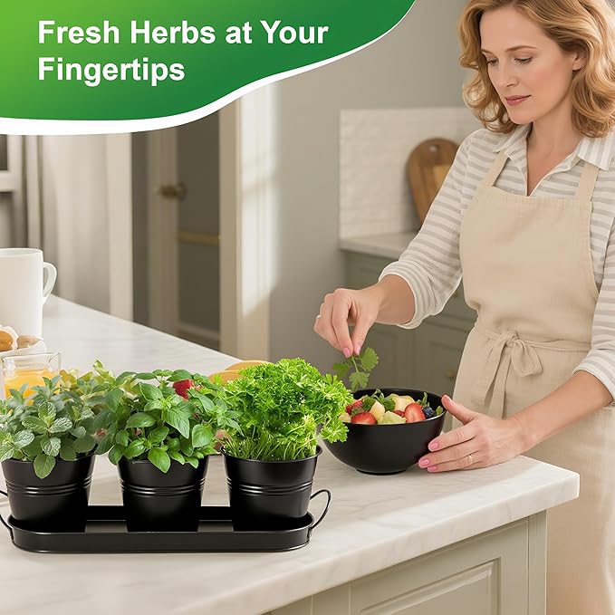 Herb Garden Planter Indoor Kit – 6 Metal Pots with 2 Trays for Windowsill & Kitchen Counter – Modern Decorative Indoor Planters for Herbs, Succulents & Small Plants, Black Wacloud