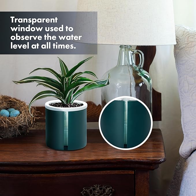 D'vine Dev 4 Inch Design Self Watering Planter for Indoor Plants, White Terracotta Pot with Teal Cylinder Glass Cup, Set of 3,37-Z-A-5-T DvineDevPlanterPotsandStand