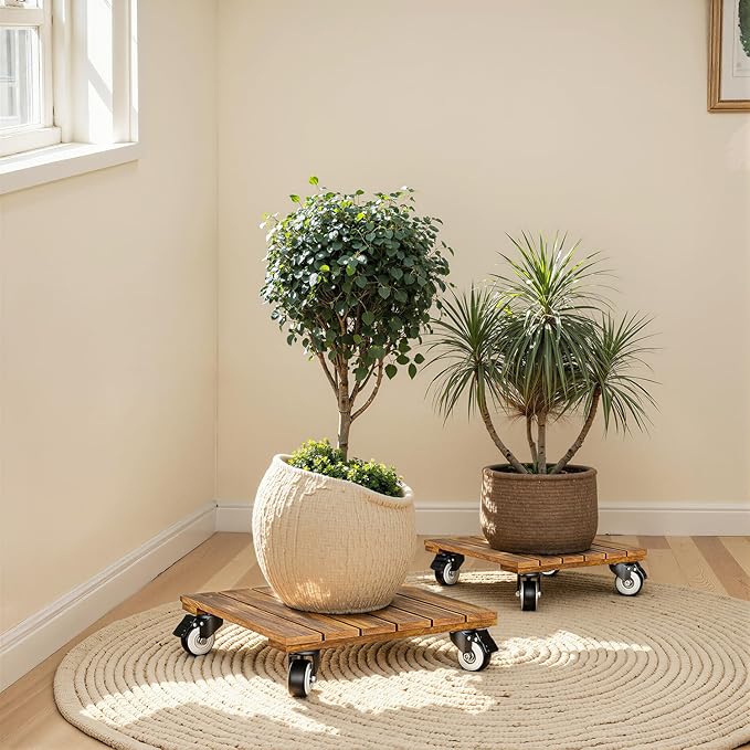 Idzo 2-Pack 12 Inch Acacia Wood Rolling Square Plant Caddy for Plant Pots, Heavy Duty Plant Stand with 360° Lockable Wheels, 264 lbs Capacity Caddy for Indoor and Outdoor Use, Natural Wood Idzo