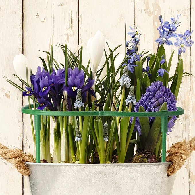 12Packs Plant Support Stakes Half Round Plant Stakes for Indoor Plants, Stackable 3 Tier Garden Flower Support, Plant Cages for Tomato,Monstera, Peony, Hydrangea, Climbing Plants BuyNow