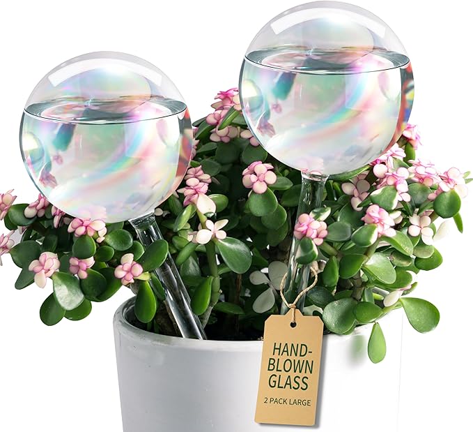 Large Extra-Thick Clear Glass Plant Watering Globes, Rainbow Gradient Self Watering Devices for Indoor & Outdoor Plants, AutomaticWaterer Spikes, Perfect for Daily or Vacation Use, 2-Pack SoilaguaDirect