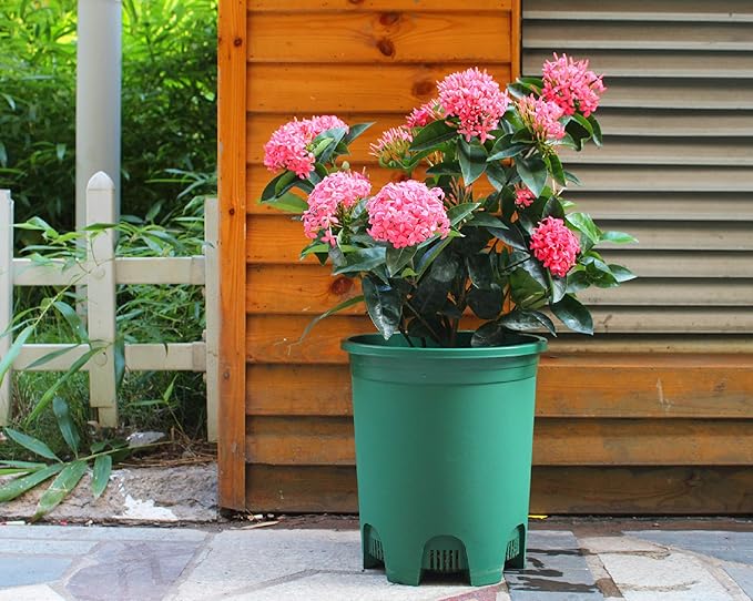 5 Gallon 10-Pack Green Nursery Pot Black Plastic Planters with Drainage for Outdoor Indoor Large Plants Trees CottaPlanters