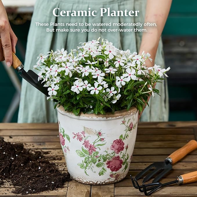Vintage Ceramic Planter with Drainage Hole, Plastic Tray & Mesh, 5.5 Inch - Indoor/Outdoor Flower Pot, Pink Floral Rustic Farmhouse Design Plant pot for Home, Office & Garden Décor, Ideal Gift TEWEIQI