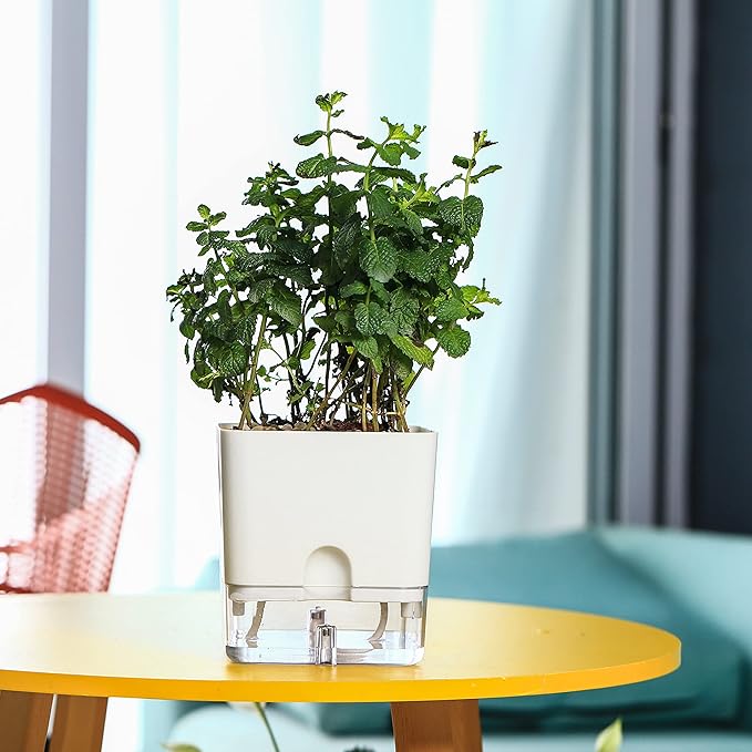 Planterhoma Self Watering Plant Pots for Indoor Plants 4.3 inch, 6 Packs Square Self-Watering Planters with Drainage Hole, White African Violet Pots for Devil's Ivy, Spider Plant, Orchid, Herb Planterhoma
