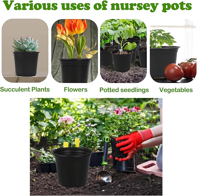 100 Packs Nursery Pots,3 Inches Plastic Nursery Pots for Plants with Drainage Holes, Seed Starting Garden Pots of Flower Plant Container for Succulents, Cuttings, Transplanting (100, 3 Inch) TAQIXI