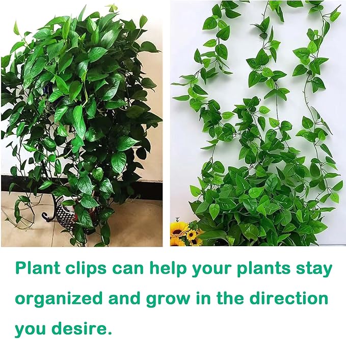 Plant Climbing Wall Fixture Clips, 80Pcs Self-Adhesive Wall Clips Fixer Hooks for Vines, Traction Support Holder, Invisible Leaf Clips for Wall Climbing Plants Indoor Outdoor Decor Beyoslf
