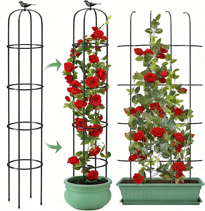 6.2ft Garden Obelisk Trellis for Climbing Plants Rustproof Metal Pipe with Heavy Duty Plastic Coated Garden Outdoor Indoor Potted Plant Support for Clematis Vine Jasmine Support MYMULIKEHOME