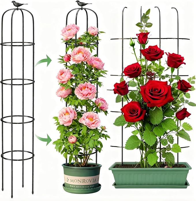 6.2ft Garden Obelisk Trellis for Climbing Plants Rustproof Metal Pipe with Heavy Duty Plastic Coated Garden Outdoor Indoor Potted Plant Support for Clematis Vine Jasmine Support MYMULIKEHOME